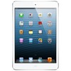 Apple iPad mini 16Gb Wi-Fi + Cellular белый - Николаевск-на-Амуре