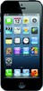 Apple iPhone 5 16GB - Николаевск-на-Амуре